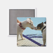Twee honden zoenen aan de poolkant magneet (Voorkant / Achterkant)