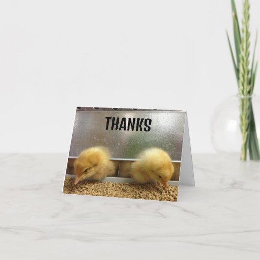 Twee hoofden bedankt (Voorkant)