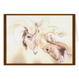 twee hoofden zijn beter dan één