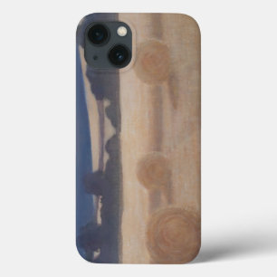 Twee Hooibalen 2012 2 Case-Mate iPhone Case