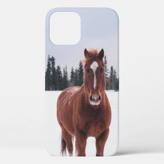 TWEE HORSES OP SNEE Case-Mate iPhone CASE (Achterkant)