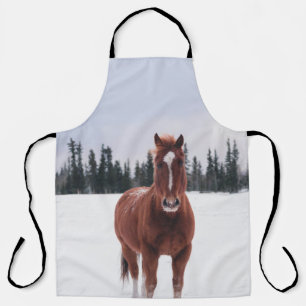 TWEE HORSES OP SNEE SCHORT
