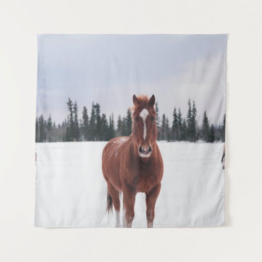 TWEE HORSES OP SNEE WANDKLEED (Voorkant)
