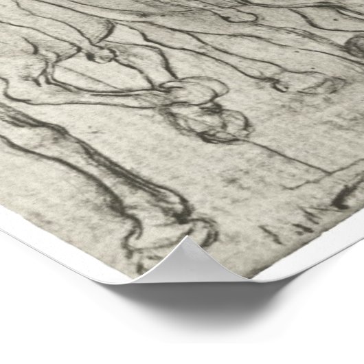 Twee Horsperma, Leonardo Da Vinci Poster (Hoek)