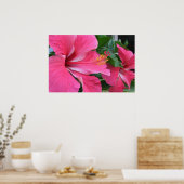 Twee hot-roze hibiscus poster (Keuken)