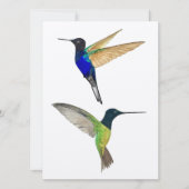 Twee Hummingvogels (Voorkant)