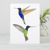 Twee Hummingvogels (Staand voorkant)