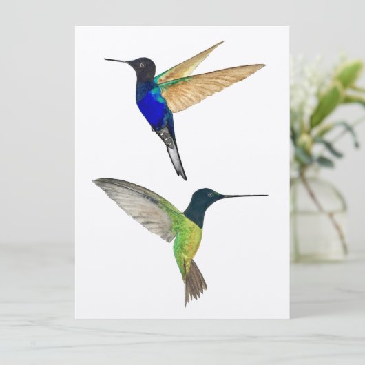 Twee Hummingvogels (Staand voorkant)