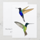 Twee Hummingvogels (Voorkant / Achterkant)