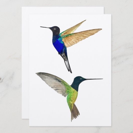 Twee Hummingvogels (Voorkant / Achterkant)