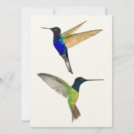 Twee Hummingvogels