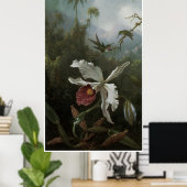 Twee Hummingvogels boven een White Orchid, 1870's Poster (Thuiskantoor)