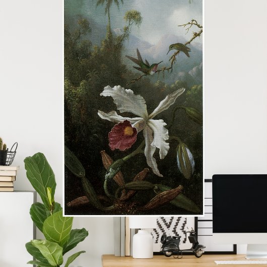 Twee Hummingvogels boven een White Orchid, 1870's Poster (Thuiskantoor)