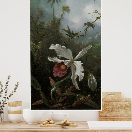 Twee Hummingvogels boven een White Orchid, 1870's Poster (Keuken)