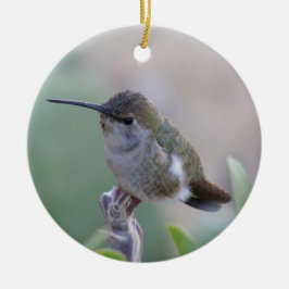 Twee Hummingvogels Keramisch Ornament