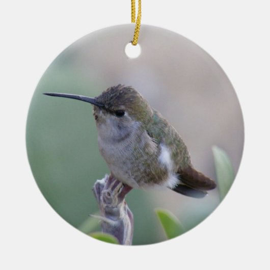 Twee Hummingvogels Keramisch Ornament (Voorkant)