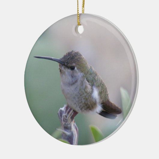 Twee Hummingvogels Keramisch Ornament (Links)