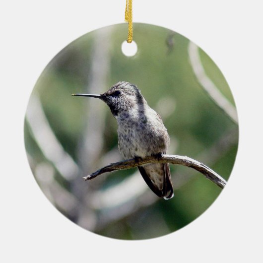 Twee Hummingvogels Keramisch Ornament (Achterkant)