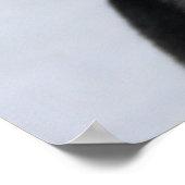 Twee husky fotografie slee hond poster (Hoek)