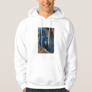 Twee Hyacint Ara's, Brazilië Hoodie