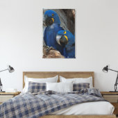 Twee Hyacinth Macaws, Brazilië Canvas Afdruk (Insitu (Slaapkamer))