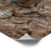 Twee Hyacinth Macaws, Brazilië Poster (Hoek)