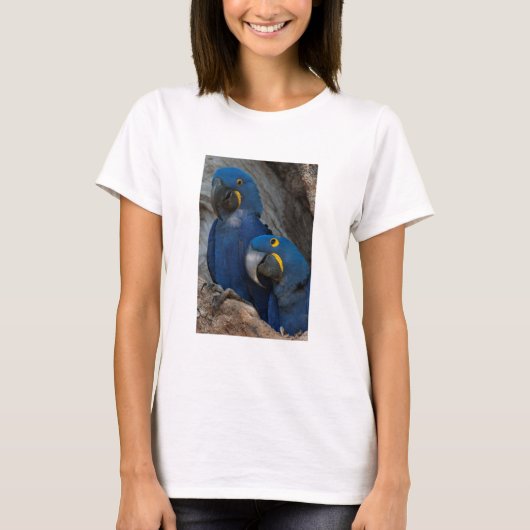 Twee Hyacinth Macaws, Brazilië T-shirt (Voorkant)