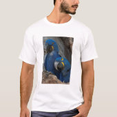 Twee Hyacinth Macaws, Brazilië T-shirt (Voorkant)