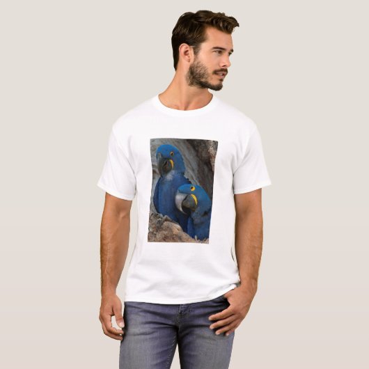 Twee Hyacinth Macaws, Brazilië T-shirt (Voorkant volledig)