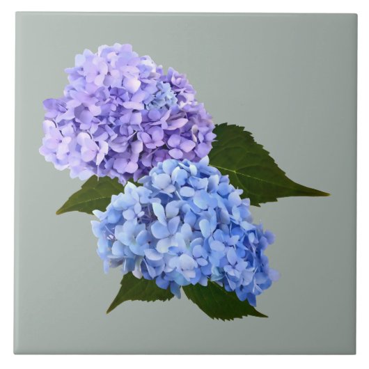 Twee Hydrangea Lavendel en Blauw Tegeltje (Voorkant)