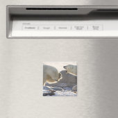 Twee ijsberen magneet (Insitu (Vaatwasser))
