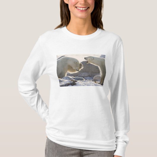 Twee ijsberen t-shirt (Voorkant)