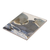 Twee ijsberen tegeltje (Zijkant)