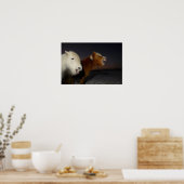 Twee IJslandse paarden Poster (Keuken)