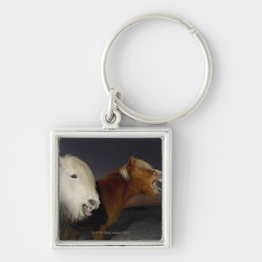 Twee IJslandse paarden Sleutelhanger (Voorkant)