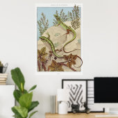 Twee  illustraties van Lizards Poster (Thuiskantoor)