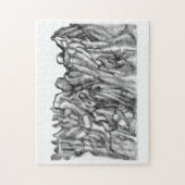 Twee in één hersentrainer legpuzzel (Verticaal)
