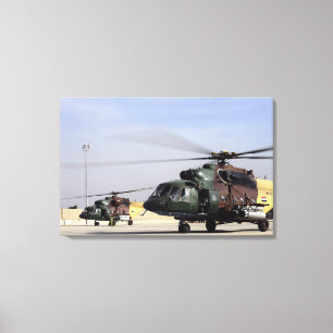 Twee Iraakse Mi-17 Hip Helikopters Canvas Afdruk