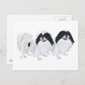 Twee Japanse Chin-honden Briefkaart (Voorkant / Achterkant)