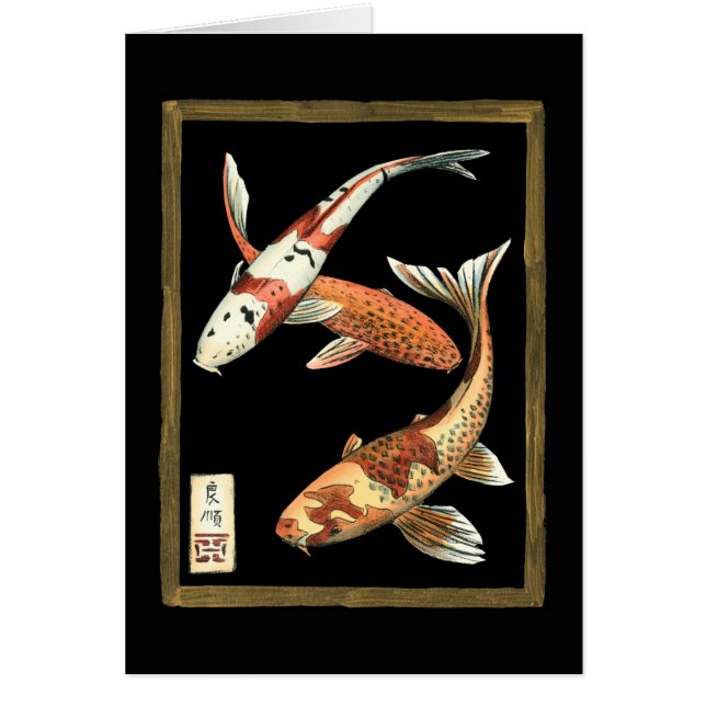 Twee Japanse Koi Goldfish op zwarte achtergrond (Voorkant)