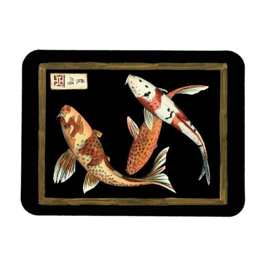 Twee Japanse Koi Goldfish op zwarte achtergrond Magneet (Horizontaal)