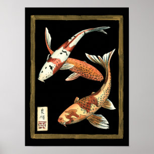 Twee Japanse Koi Goldfish op zwarte achtergrond Poster