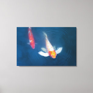 Twee Japanse koivissen in vijver Canvas Afdruk