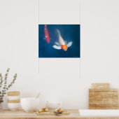 Twee Japanse koivissen in vijver Poster (Keuken)