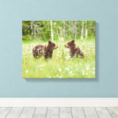 Twee jonge bruine beer vrienden canvas afdruk (Insitu (Houten vloer))