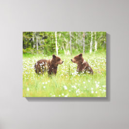 Twee jonge bruine beer vrienden canvas afdruk