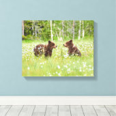 Twee jonge bruine beer vrienden canvas afdruk (Insitu (Houten vloer))