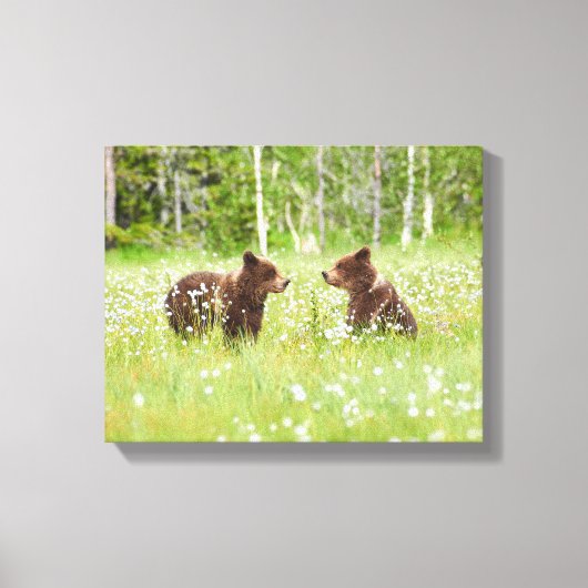 Twee jonge bruine beer vrienden canvas afdruk (Voorkant)