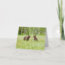 Twee jonge bruine beer vrienden vouwden wenskaart