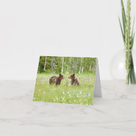 Twee jonge bruine beer vrienden vouwden wenskaart kaart